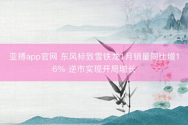亚搏app官网 东风标致雪铁龙1月销量同比增16% 逆市实现开局增长