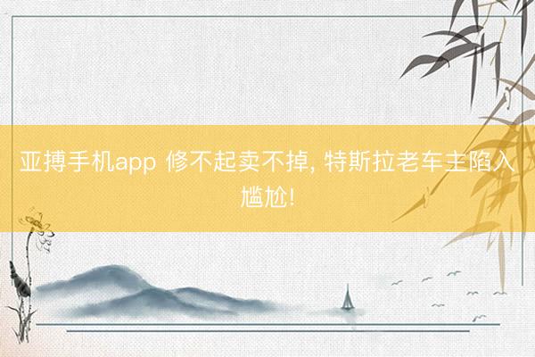 亚搏手机app 修不起卖不掉， 特斯拉老车主陷入尴尬!