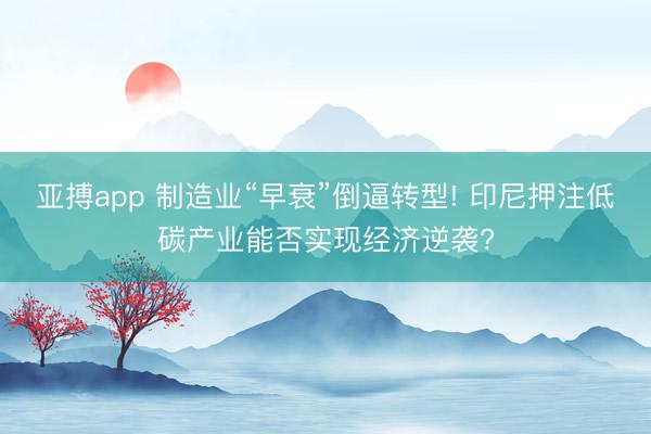 亚搏app 制造业“早衰”倒逼转型! 印尼押注低碳产业能否实现经济逆袭?