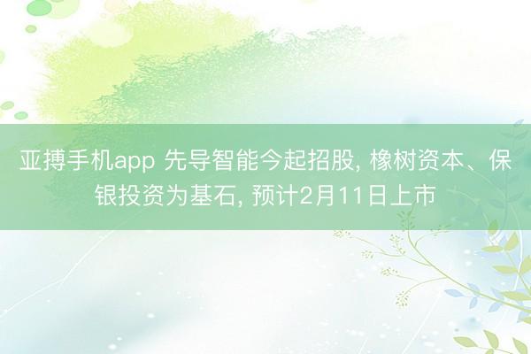 亚搏手机app 先导智能今起招股, 橡树资本、保银投资为基石, 预计2月11日上市