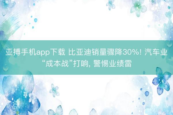 亚搏手机app下载 比亚迪销量骤降30%! 汽车业“成本战”打响， 警惕业绩雷