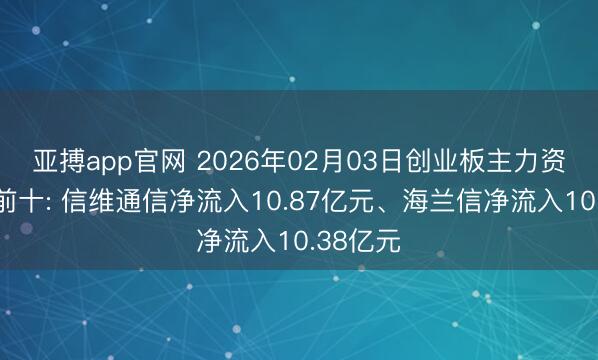 亚搏app官网 2026年02月03日创业板主力资金增仓前十: 信维通信净流入10.87亿元、海兰信净流入10.38亿元