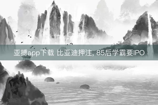 亚搏app下载 比亚迪押注， 85后学霸要IPO