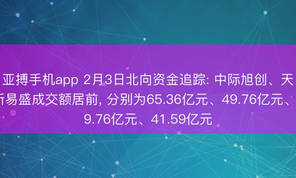 亚搏手机app 2月3日北向资金追踪: 中际旭创、天孚通信、新易盛成交额居前, 分别为65.36亿元、49.76亿元、41.59亿元
