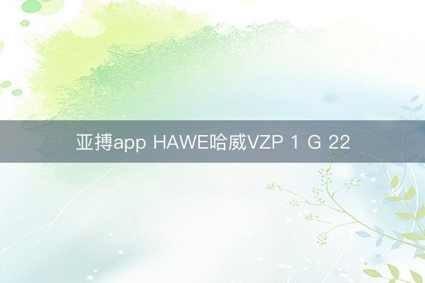亚搏app HAWE哈威VZP 1 G 22