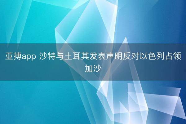 亚搏app 沙特与土耳其发表声明反对以色列占领加沙