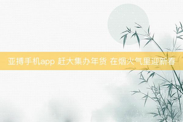 亚搏手机app 赶大集办年货 在烟火气里迎新春
