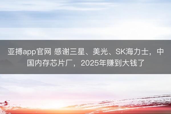 亚搏app官网 感谢三星、美光、SK海力士，中国内存芯片厂，2025年赚到大钱了
