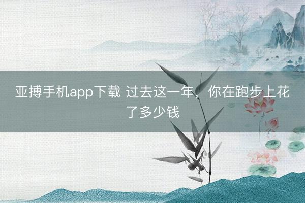 亚搏手机app下载 过去这一年，你在跑步上花了多少钱