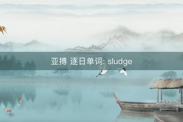 亚搏 逐日单词: sludge