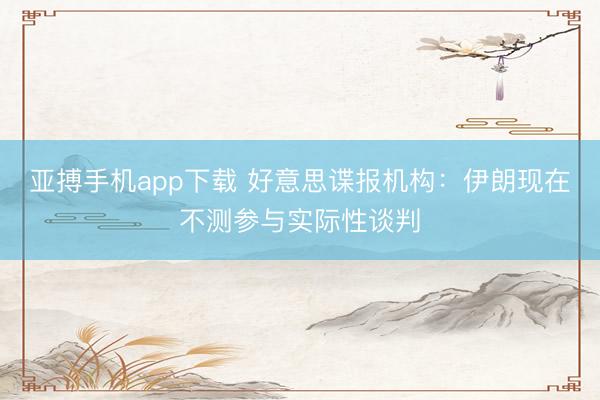 亚搏手机app下载 好意思谍报机构：伊朗现在不测参与实际性谈判
