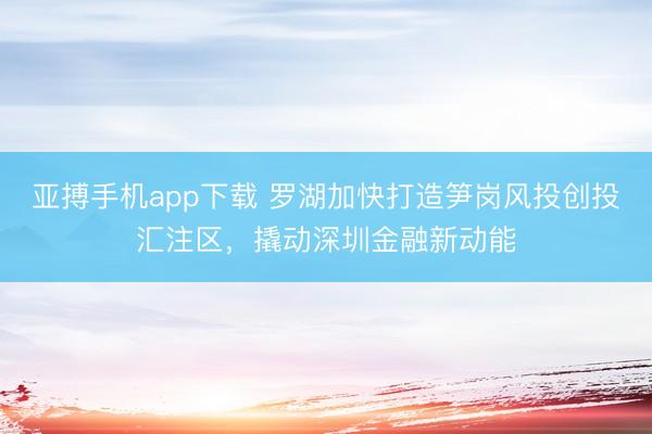 亚搏手机app下载 罗湖加快打造笋岗风投创投汇注区，撬动深圳金融新动能