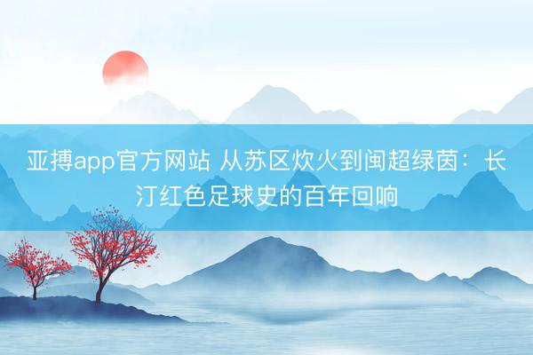 亚搏app官方网站 从苏区炊火到闽超绿茵:长汀红色足球史的百年回响