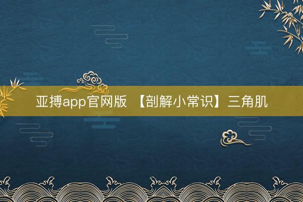 亚搏app官网版 【剖解小常识】三角肌