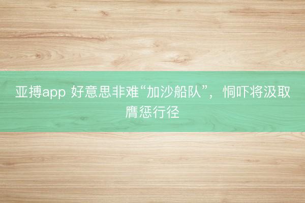 亚搏app 好意思非难“加沙船队”，恫吓将汲取膺惩行径