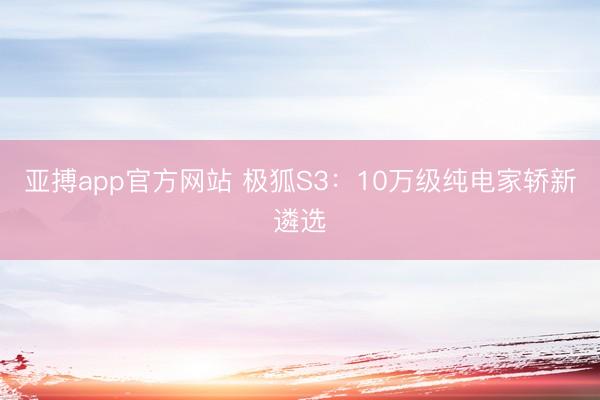 亚搏app官方网站 极狐S3：10万级纯电家轿新遴选