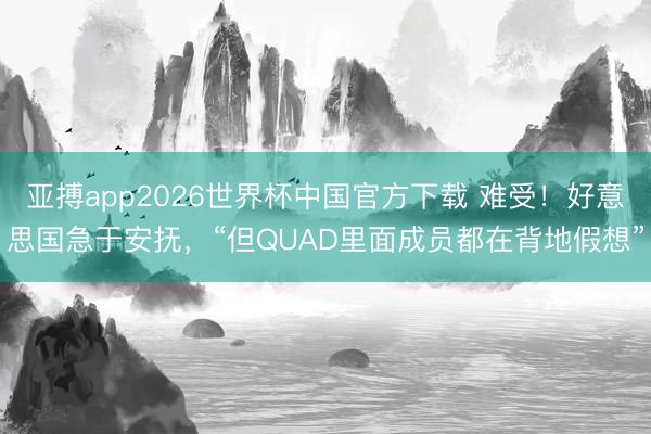 亚搏app2026世界杯中国官方下载 难受！好意思国急于安抚，“但QUAD里面成员都在背地假想”