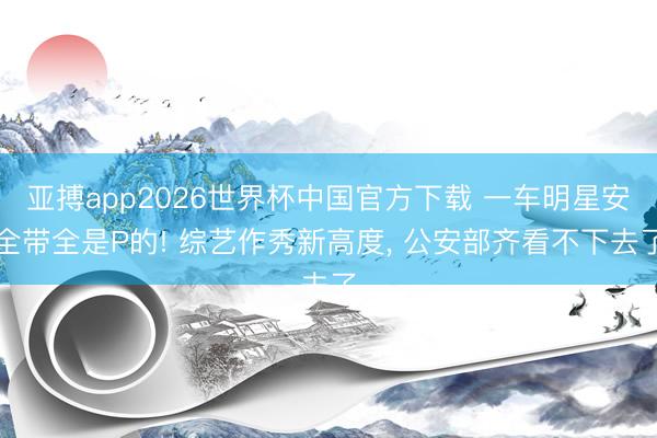 亚搏app2026世界杯中国官方下载 一车明星安全带全是P的! 综艺作秀新高度, 公安部齐看不下去了