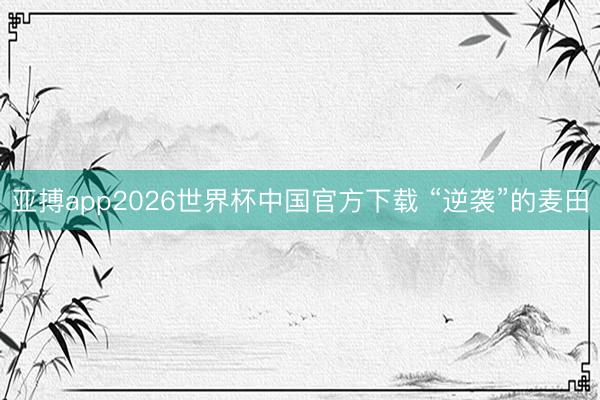 亚搏app2026世界杯中国官方下载 “逆袭”的麦田
