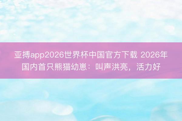 亚搏app2026世界杯中国官方下载 2026年国内首只熊猫幼崽：叫声洪亮，活力好