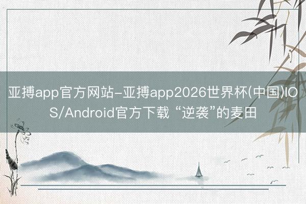 亚搏app官方网站-亚搏app2026世界杯(中国)IOS/Android官方下载 “逆袭”的麦田
