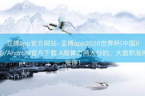 亚搏app官方网站-亚搏app2026世界杯(中国)IOS/Android官方下载 A股算力两大标的，大面积涨停！